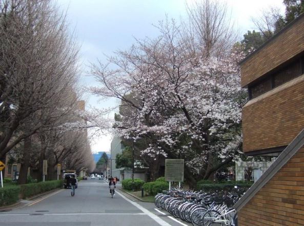 东大前辈经验分享：东大到底有什么魅力，如何备考？|日本留学