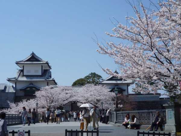 金城大学学费介绍！（日本留学）