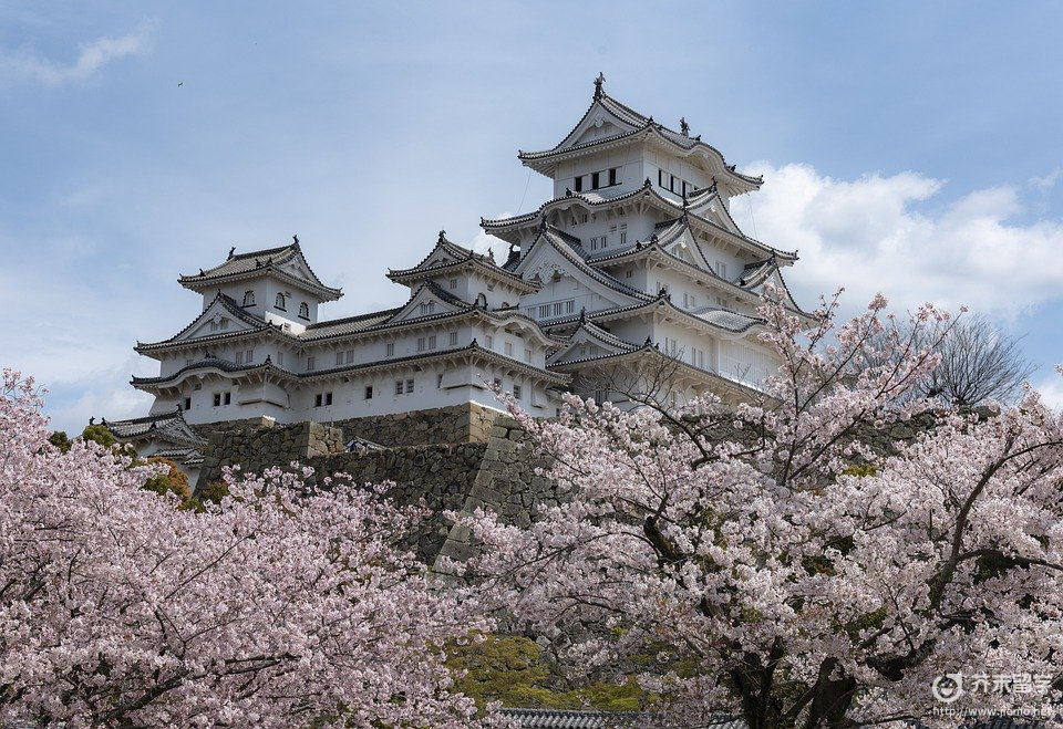 日韩留学