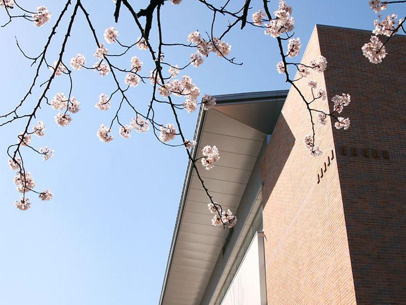 日本留学费用丨给你一个超级省钱攻略