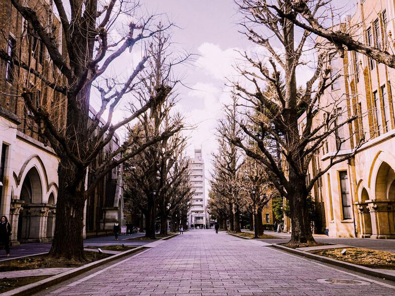 都2021年了，你还不知道日本留学费用可以全免？