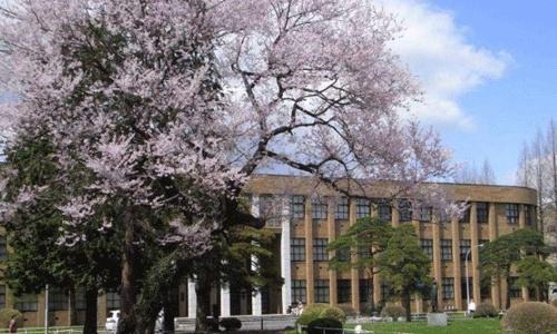 京都精华大学有哪些专业？（日本留学）