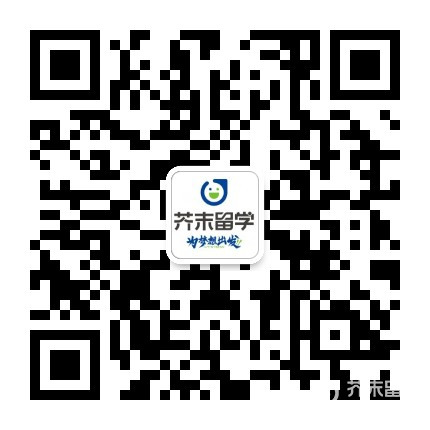 芥末留学白皮书