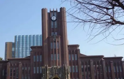 “国际学”第一名是……2023各院系实际就业率排名（日本留学）