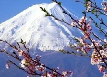 赴日就职，就选这几所语言学校，准没错！（日本留学）