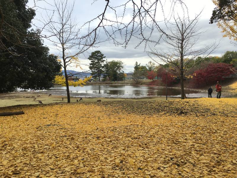 关西大学有哪些专业？（日本留学）