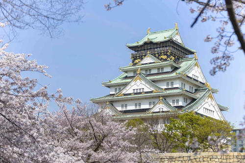 日本大阪城公园丨日本留学生活