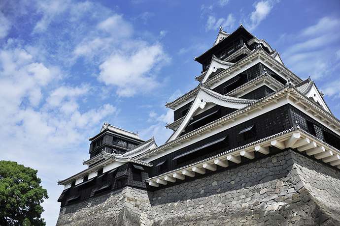 熊本城（くまもとじょう）丨日本留学生活