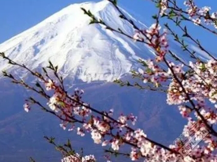 时事新闻|日本出入国管理局增加申请技术人文签证的提交材料