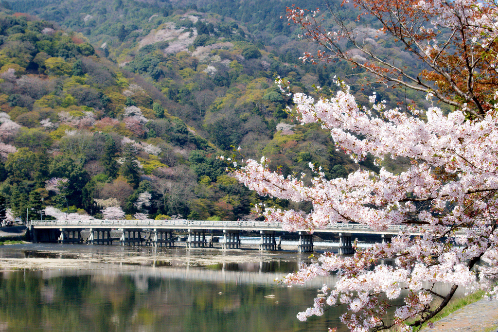 日本京都岚山，周恩来总理曾留诗与此丨日本留学