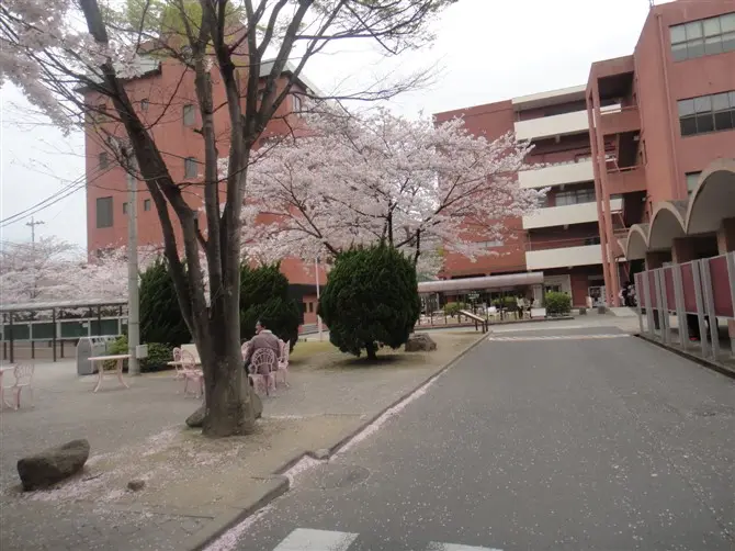 九州女子大学专业介绍！（日本留学）