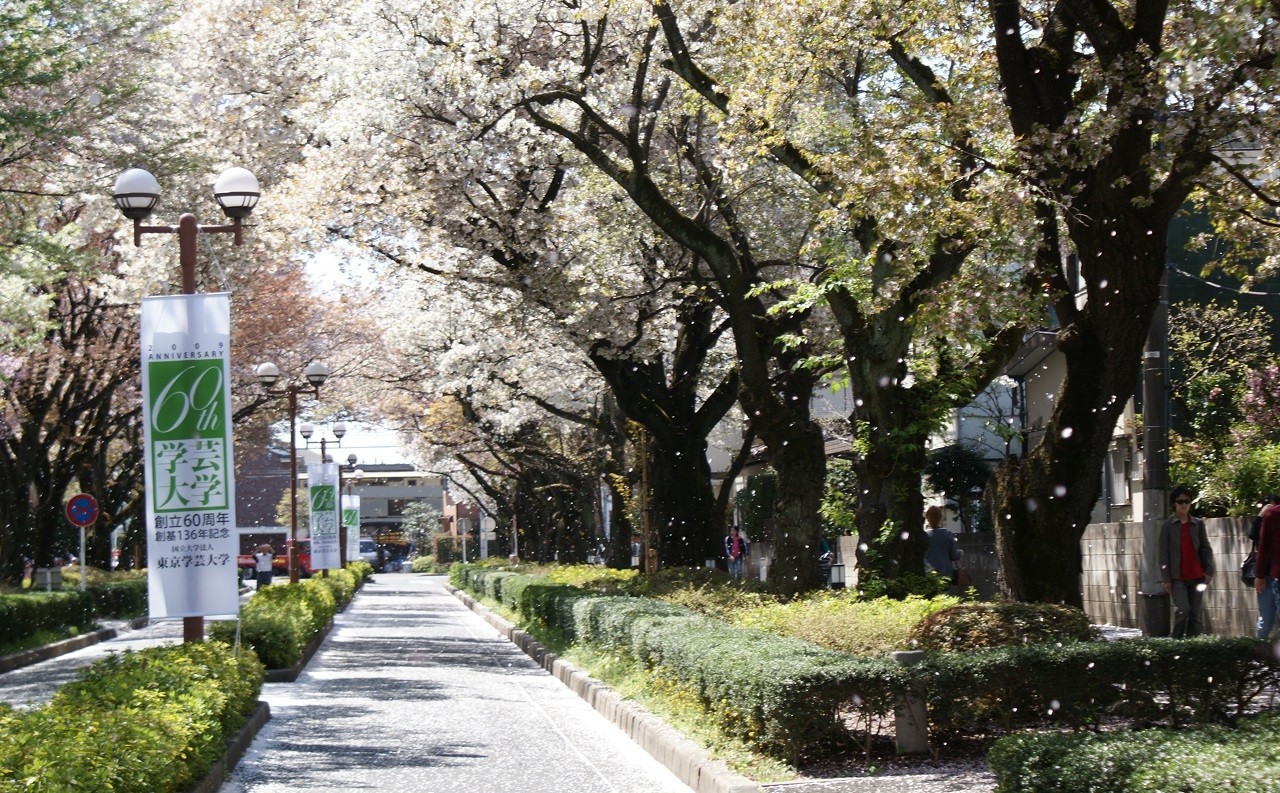 日本东京都小金井市主要有哪些大学？