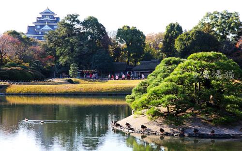 后乐园丨日本留学生活