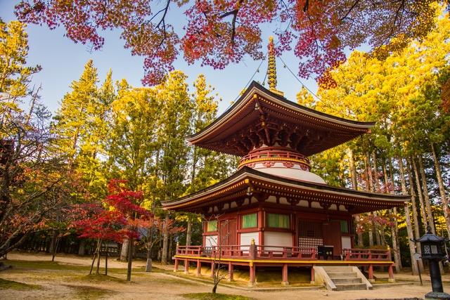 高野山，日本佛教密宗真言宗的本山丨日本留学生活