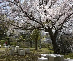 长崎综合科学大学