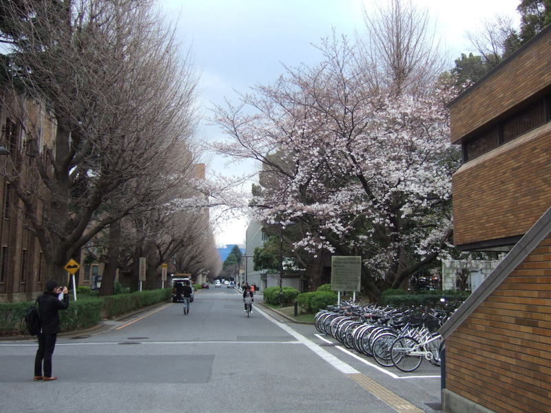 日本研究生留学的优缺点？