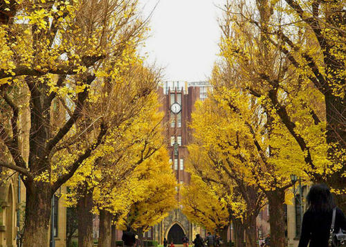 东京大学留学条件丨日本留学