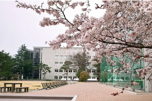 日本尚絅大学有哪些专业？（日本留学）