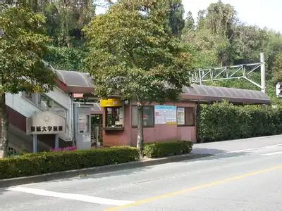 崇城大学有哪些学科？（日本留学）