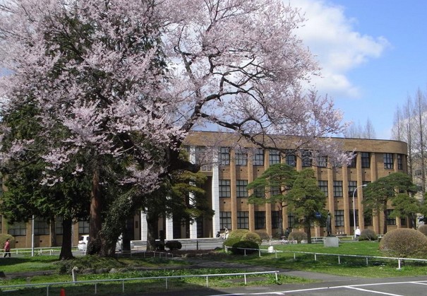 日本研究生留学费用