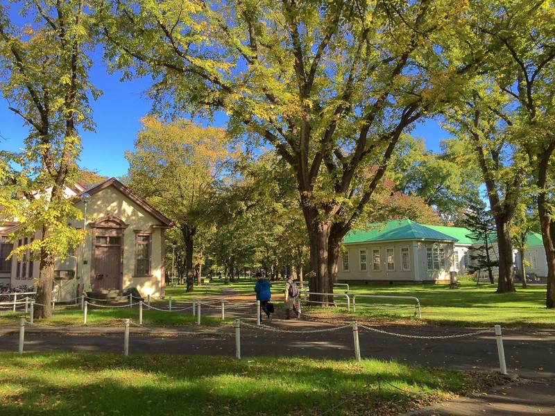 北海道教育大学有哪些分校？（日本留学）