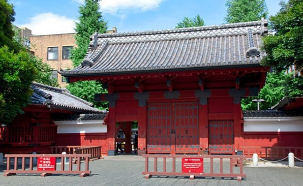 教育实力最强的日本大学排行榜2023(东京篇)