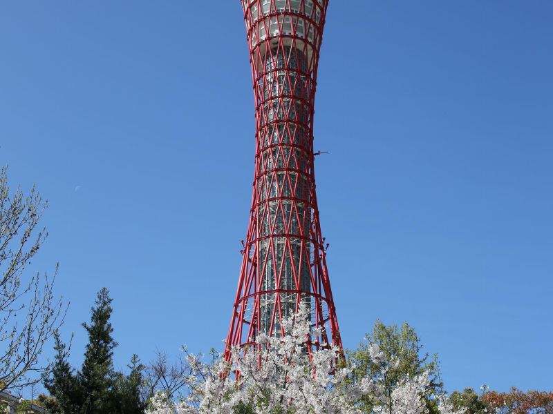 日本神户大学介绍！（日本留学）