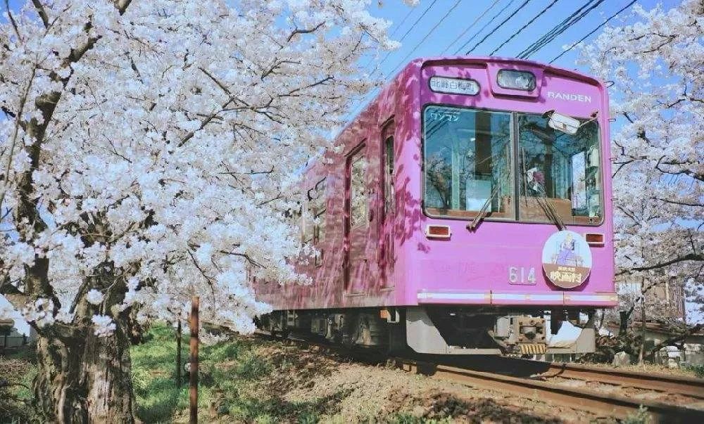 日本留学不想去东京还有哪些城市比较好？（日本留学攻略）