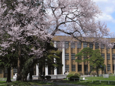 日本语言学校免费申请，10月生抓紧报名啦！