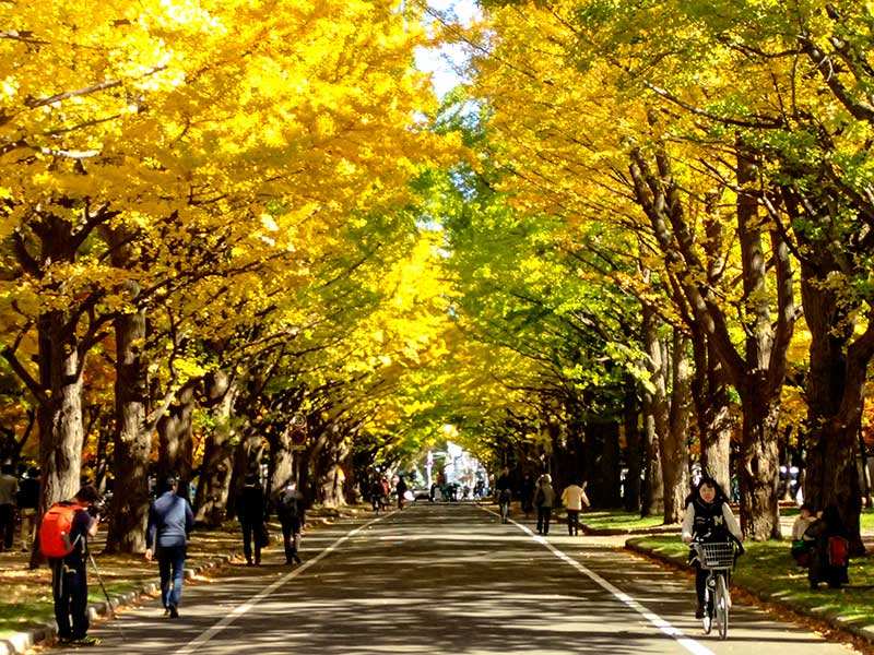 大学去日本留学的条件有哪些？（日本留学攻略）