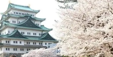 考日本大学，有哪些学校不需要英语成绩？(日本留学）