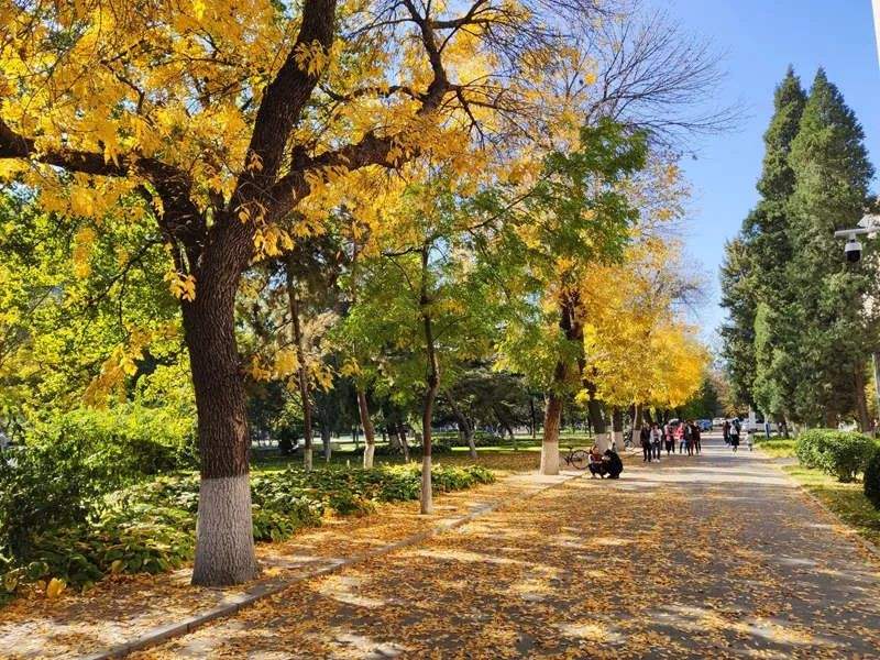日本秋田大学介绍！（日本留学）