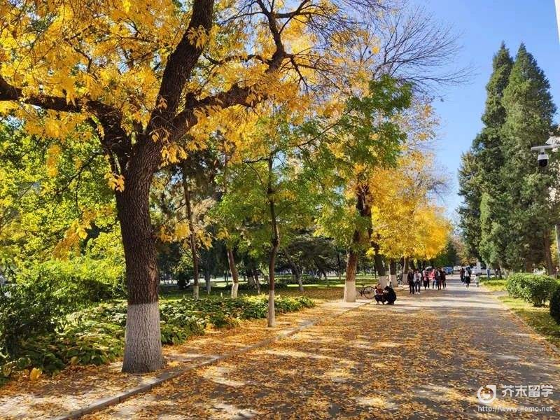 日本秋田大学