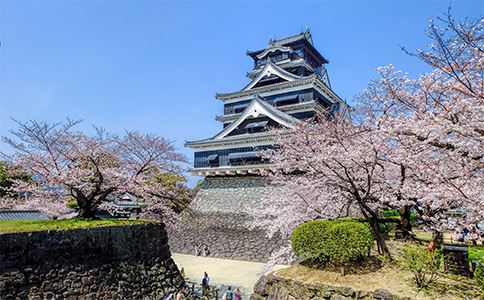 千叶大学申请条件！（日本留学）