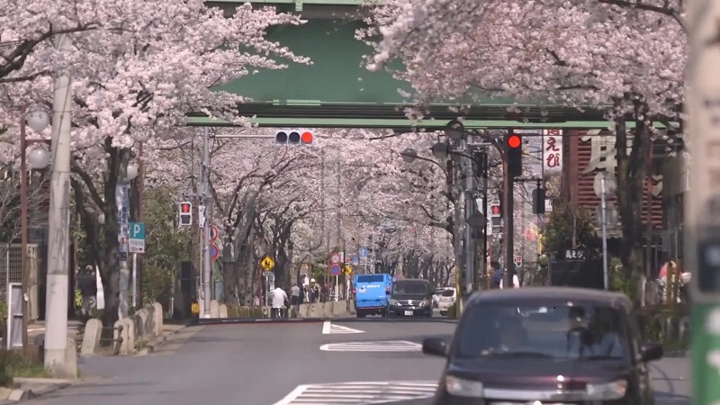 日本语言学校排行榜！日本留学的必经之路！（日本留学）