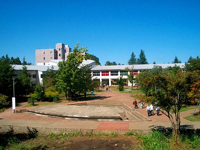 青森大学申请条件！（日本留学）