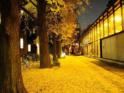 东京大学申请条件！（日本留学）