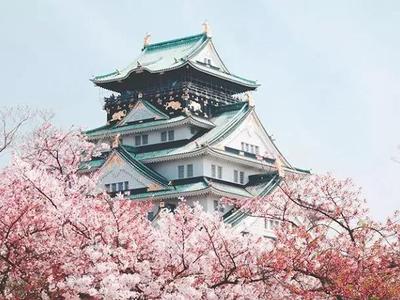 日本入管局官方通知：20年7月生在留被保留！今年7月生该怎么办？