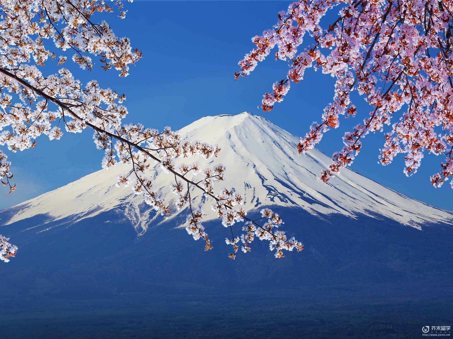 日本语言学校