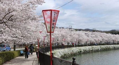 日本大学就业率排名，就业情况全解析