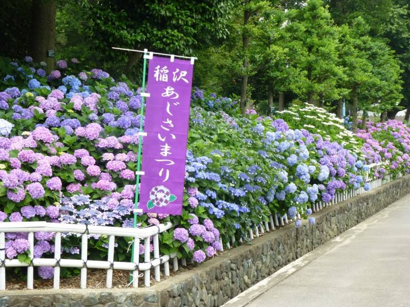 爱知县立大学有哪些专业？（日本留学）