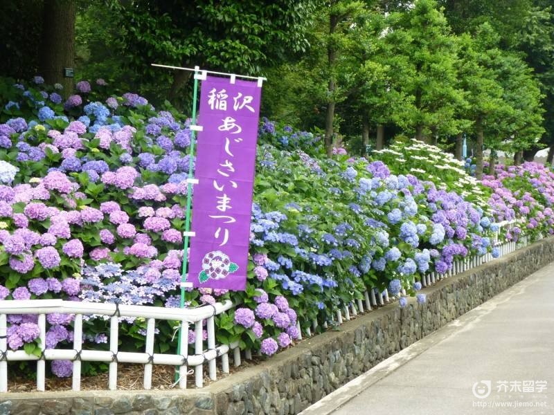 爱知县立大学
