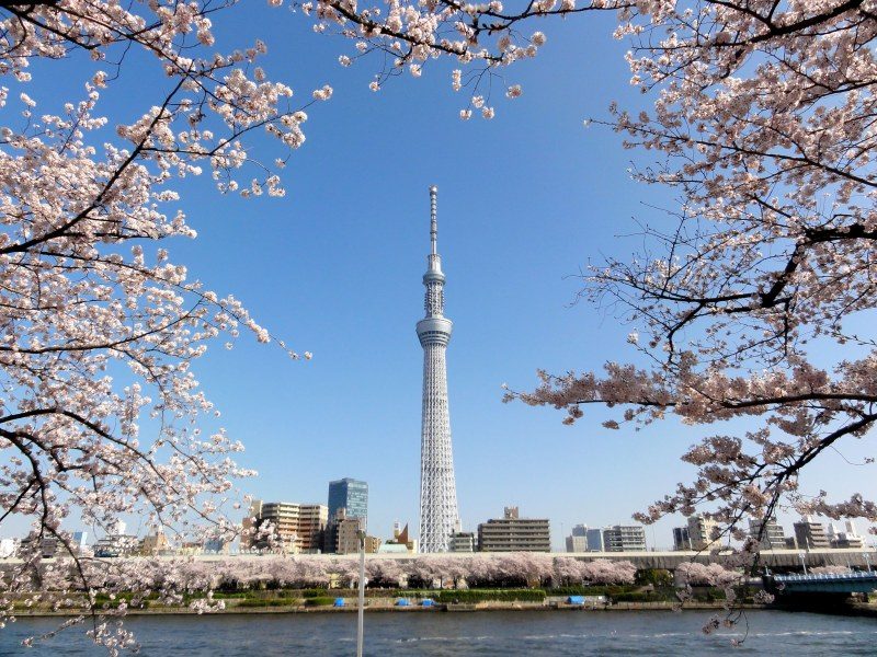 日本医学专业哪些大学比较好？（日本留学）
