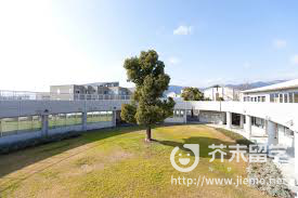 日本留学