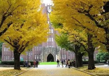 没钱、没背景、没人脉的家庭，日本留学建议选这几个专业