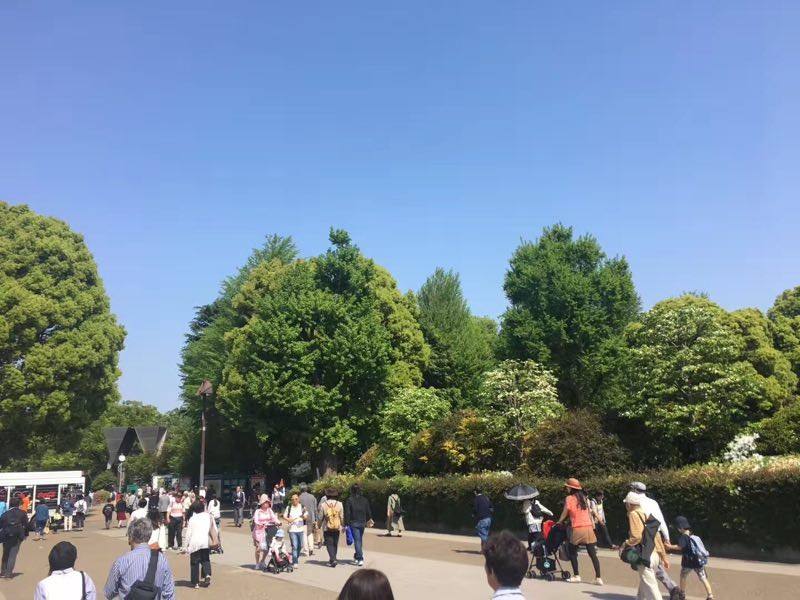 日本g-march大学有哪几所？（日本留学）