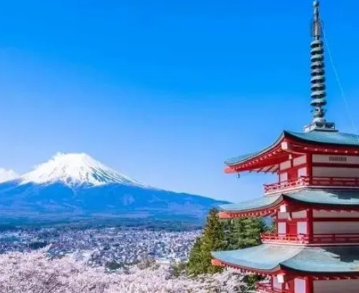 日本留学，专业选择也是一门学问！这么选一定不会错