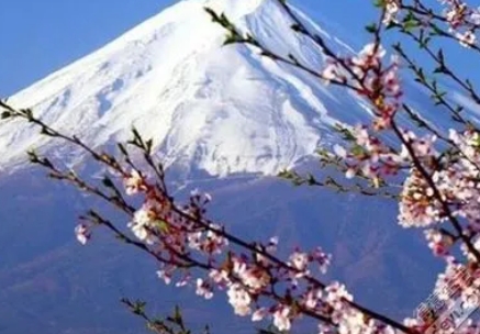 大三想去日本读研，你得这么准备才行！