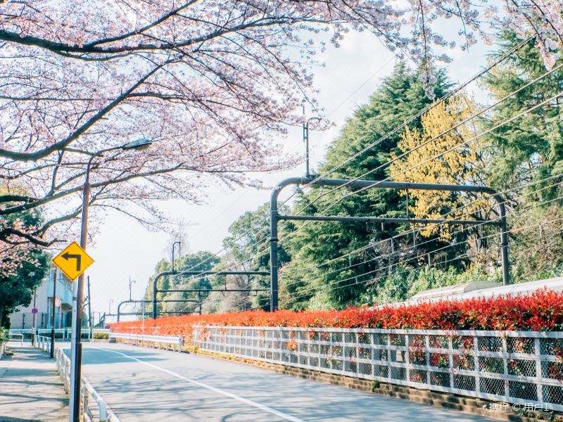 东京艺术大学入学申请条件！（日本留学）