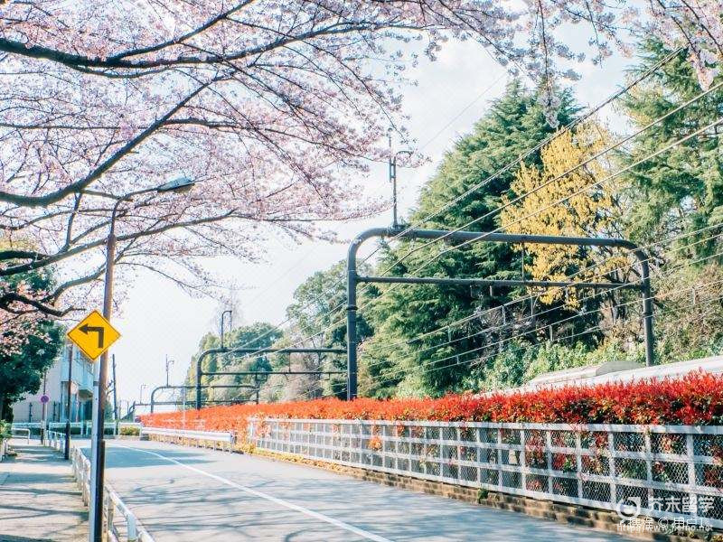 东京艺术大学入学申请条件